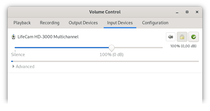 PulseAudio Volume Control: No preset, input devices
